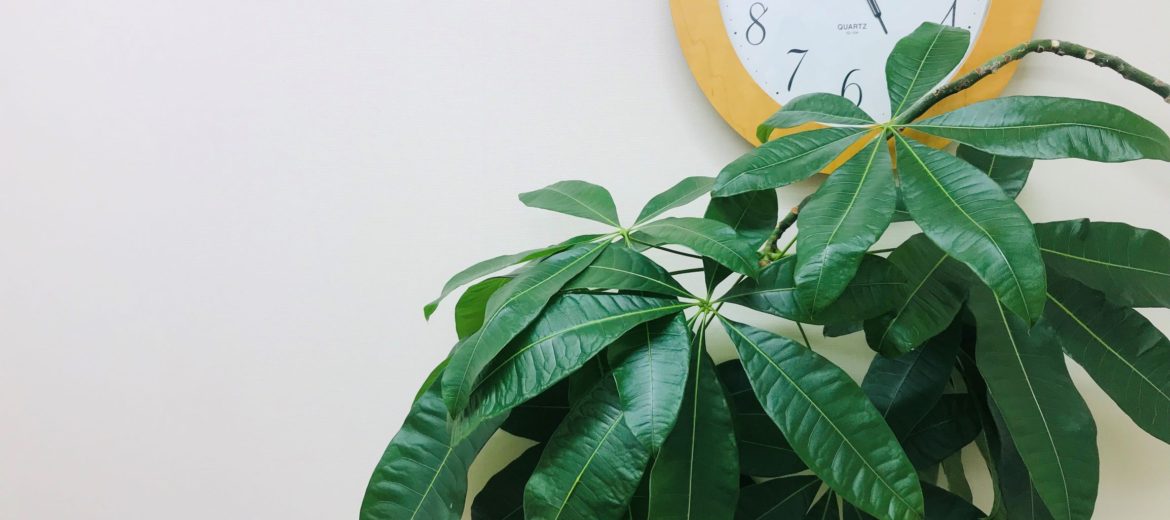 ジェネリック医薬品で自己負担額が軽減できます