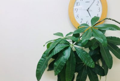 ジェネリック医薬品で自己負担額が軽減できます